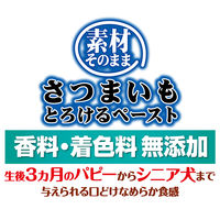 ペティオ 素材そのまま 無添加 さつまいも とろけるペースト 36本入 1袋 犬用 おやつ