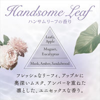 フレアフレグランス IROKA（イロカ） ハンサムリーフの香り 詰め替え 特大 710ml 1個 柔軟剤 花王（旧品）