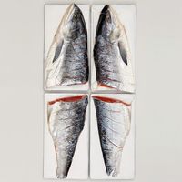 佐藤水産 2024【御歳暮】のし付き 北海道 銀毛新巻鮭 姿切り身 MS-016CE 1箱（直送品）