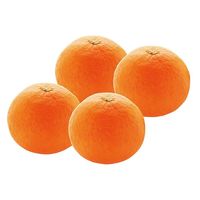 アデリー 2024【御歳暮】のし付き 愛媛県産 紅まどんな BENI-F0 1箱（直送品）