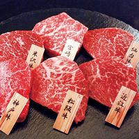 山晃食品 2024【御歳暮】のし付き 6大ブランド和牛食べくらべミニステーキ 7000951 1箱（直送品）