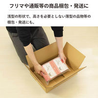 シモジマ 80サイズダンボール ノートPC用 41×29×9cm FD38-0010-AS 1セット(10枚入)（直送品）