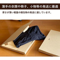 シモジマ メール便用ダンボール 335×245×28mm 25枚 FY07-0025-AS 1セット(25枚入)