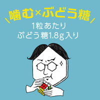 ぶどう糖入りガム 18g 12個 ガム ロッテ