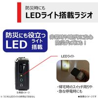 東芝 LEDライト付きホームラジオ TY-KR20（K） 1台