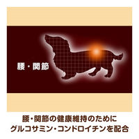 ベストバランス ミニチュアダックスフンド用 鶏ささみ・緑黄色野菜・キャベツ入り 60g 4袋 国産 ドッグフード パウチ