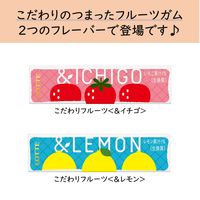 【アウトレット】こだわりフルーツ＜＆イチゴ＞ 1セット（1個×15） ロッテ ガム