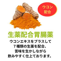 新パスゲン内服液プラス 30mL×2本 生薬配合胃腸薬 二日酔いのむかつき【第3類医薬品】