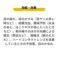 ラフェルサ ルイビーOA PC 15ml  目薬 PC、スマートフォンによる 目の疲れ 炎症【第2類医薬品】