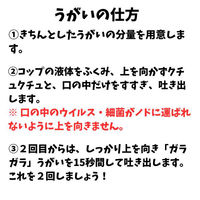 コデトンうがい薬 300ml のどの殺菌 消毒 口臭除去【第3類医薬品】