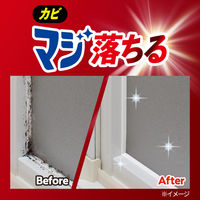 強力カビハイター EXPOWER カビ用密着ジェル 本体 200g 1セット（1個×3） 花王