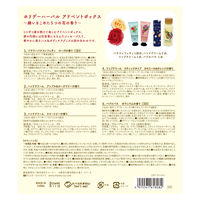 ホリデーハーバル アドベンドボックス 1個 チャーリー