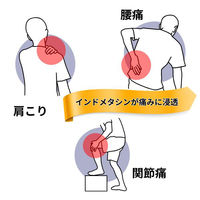 ラフェルサ サリスターパップID温感 30枚 関節痛 腰痛 肩こり痛【第2類医薬品】