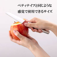 貝印 ペティナイフ オールステンレス コンパクト フルーツ ケース付 関孫六 000DH3355 1個