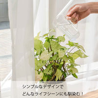 HARIO (ハリオ) ビーカー サーバー 300ml 耐熱ガラス 目盛り付き TBV-300 1個