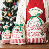 ヘッズ クラシカルクリスマスリボン付PEギフトバッグーM XCL-RBM 1袋(20枚)