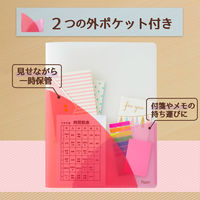 プラス PastyスリムホルダーF A4 チェリーピンク 98861 1冊