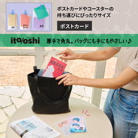 プラス イトオシ カードケース PP製 ポストカードサイズ クリアー 91519 1セット（1パック（2枚入）×5）