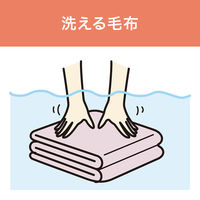 小泉成器 電気毛布(ボトム掛敷) KDK60241 1台