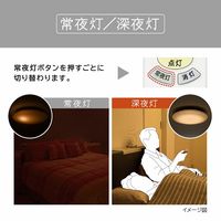 日立 [まなびのあかり]搭載タイプ 8畳 LEC-AH802TM 1台