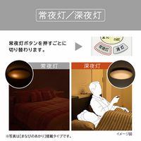 日立 [リラックスのあかり]搭載タイプ 6畳 LEC-AH603TK 1台