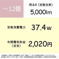 日立 シンプル(単色)タイプ 12畳 LEC-AA126U 1台