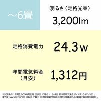 日立 シンプル(単色)タイプ 6畳 LEC-AA066U 1台