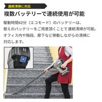 ケルヒャー ハンディバキュームクリーナー HV 1/1 Bp 1.394-266.0 1台