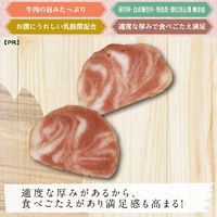 ドギーマン 無添加良品 お肉屋さんのジューシー ビーフサラミ 国産 100g 3袋 犬用 おやつ