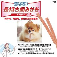 ドギーマン ホワイデント 長持ち歯みがき ギザ棒ガム イチゴ味 超小型・小型犬向き S 20本（約170g）3袋 犬用 おやつ