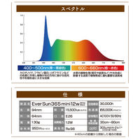 ゼンスイ Ever Sun 365 mini 12W WHITE 329393 1個（直送品）