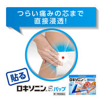 ロキソニンSパップ 7枚 第一三共ヘルスケア　ロキソプロフェン 貼り薬 痛み止め 腰痛 肩こり痛 筋肉痛【第2類医薬品】