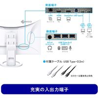 EIZO <FlexScan>24.1インチカラー液晶モニター EV2495-WT 1台