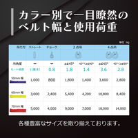 フリーク ラウンドスリングN型 使用荷重1000kg 幅50mm 長さ3.5m 561481 1本（直送品）