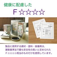 小島工芸 NOF(ニューオファー)シリーズ 書庫 スライドオープンタイプ 幅902×奥行410×高さ952mm NOF-90 ウォールモカ 1台（直送品）