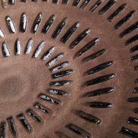 スパイス Wow!クールアフリカン ブラックリップルライン ラウンドプレート ブラウン CPGH1310C 1個（直送品）