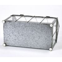 スパイス SCANDINAVIAN ガラステラリウム Mサイズ FJGK2962 1個（直送品）