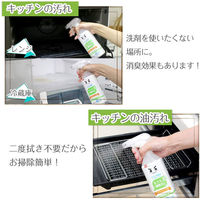 セスキの激落ちくん 詰め替え1000mL 1個 レック