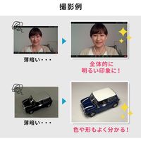 サンワサプライ LEDリングライト（クリップ付き） 200-DG020 1個（直送品）