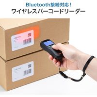 サンワサプライ Bluetooth2次元コードリーダー(液晶付き・QRコード対応) BCR-BT2D2BK 1個