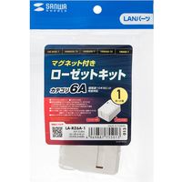 サンワサプライ カテゴリ6Aローゼットキット(マグネット付き) LA-RZ6A-1 1個（直送品）