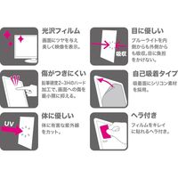 サンワサプライ 23.8型ワイド対応ブルーライトカット液晶保護指紋防止光沢フィルム LCD-BCG238W 1枚（直送品）