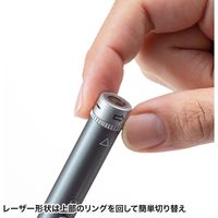 サンワサプライ 照射形状可変グリーンレーザーポインター LP-GL1018GY 1個（直送品）