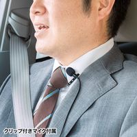 サンワサプライ Bluetoothハンズフリーカーキット MM-BTCAR4 1個（直送品）