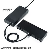 USBハブ　USB2.0　USB-C　Type-C×12　USBポート　USB-2THCS12　サンワサプライ　1個（直送品）