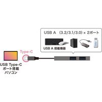 サンワサプライ USB Type-C 2ポートスリムハブ USB-3TCH24S 1個（直送品）