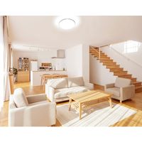 アイリスオーヤマ LEDシーリングライト メタルサーキットシリーズ モールフレーム 14畳調光 CL14D-5.1M 1台（直送品）