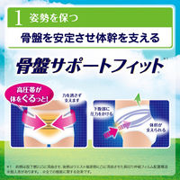 ライフリー 歩行アシストパンツ L お試しパック 1箱（2枚入×12パック） ユニ・チャーム