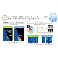 歯科医院取扱品 DENT.EX systema（デントシステマ） 44H スーパーテーパード毛　1本　ライオン　歯ブラシ