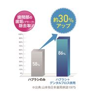 クリニカアドバンテージ デンタルフロスＹ字タイプ 1袋（30本入） 大容量タイプ 035964 ライオン